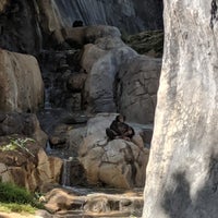 Photo taken at Chimpanzees of Mahale Mountains by Renee on 5/30/2019
