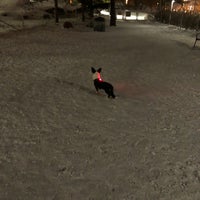 Photo taken at Sähköttäjänpuiston koira-aitaus by Juuso M. on 2/17/2018