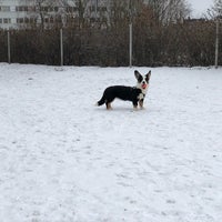 Photo taken at Sähköttäjänpuiston koira-aitaus by Juuso M. on 2/17/2018