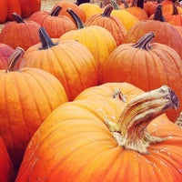 10/20/2012にMani B.がMr. Bones Pumpkin Patchで撮った写真