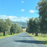 3/26/2024 tarihinde Shinji S.ziyaretçi tarafından Opus One Winery'de çekilen fotoğraf