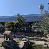 Photo taken at Tennoji Zoo by 上田 勲. on 2/17/2024