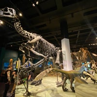 Naturhistoriska riksmuseet - Museum in Stockholm