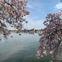 Photo taken at Tidal Basin by Derek F. on 3/19/2020