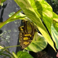 Photo taken at The Butterfly Farm by Duane on 10/23/2022