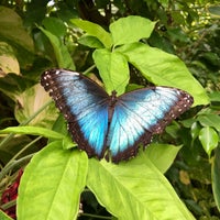 Photo taken at The Butterfly Farm by Duane on 10/23/2022