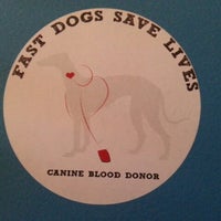 Vca Clackamas Animal Hospital Veterinarian In Clackamas