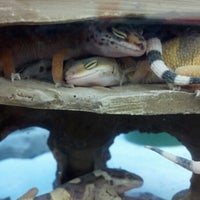 Photo taken at Petco by Aaron B. on 10/18/2012