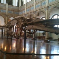 Foto scattata a Museo Nacional de Historia Natural da Rocio S. il 10/17/2012