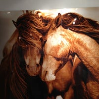 Foto diambil di The Wild Horses of Sable Island oleh Eden Marie J. pada 3/6/2013