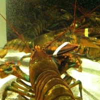 2/5/2013에 Timothy F.님이 Red Lobster에서 찍은 사진