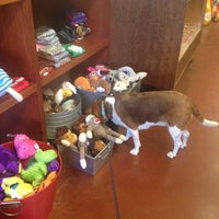 gussied up dog boutique