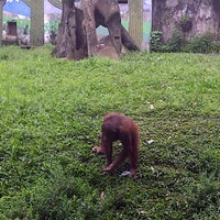 Kebun Binatang Bandung - Zoo
