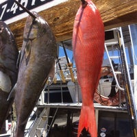 รูปภาพถ่ายที่ Destin Charter Fishing Service โดย Tina H. เมื่อ 7/17/2013