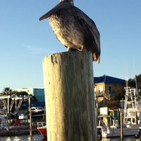 12/6/2012 tarihinde Tina H.ziyaretçi tarafından Destin Charter Fishing Service'de çekilen fotoğraf