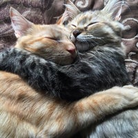 島忠 荏田店 青葉区 横浜市 神奈川県