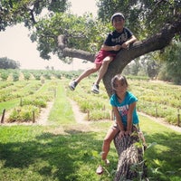 Photo taken at Amador Flower Farm by Dulce B. on 8/16/2014