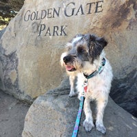 Photo taken at Golden Gate Park by Jinny S. on 9/3/2015