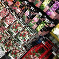 カインズホーム Fc白旗店 中央区鵜の森町3