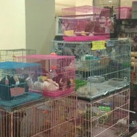 Photo taken at Zoo Pet shop Mall Of Indonesia by Iurii on 2/25/2013