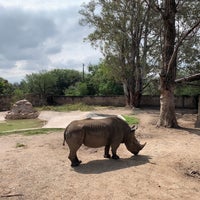 10/26/2019 tarihinde Fcko G.ziyaretçi tarafından Zooleón'de çekilen fotoğraf