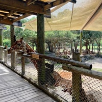 Foto scattata a Brevard Zoo da Alison W. il 8/22/2021