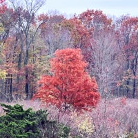 11/4/2023にJason K.がHolden Arboretumで撮った写真