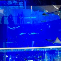 Photo taken at Dubai Aquarium by Ded Ž. on 3/13/2024