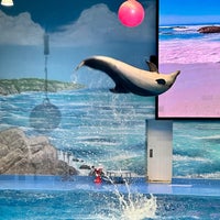 Das Foto wurde bei Dubai Dolphinarium von Ded Ž. am 3/13/2024 aufgenommen