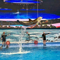 Foto tirada no(a) Dubai Dolphinarium por Ded Ž. em 3/13/2024
