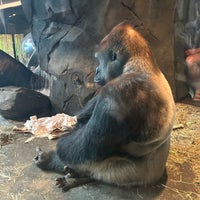 Photo taken at Henry Doorly Zoo and Aquarium by Kristin O. on 9/16/2023