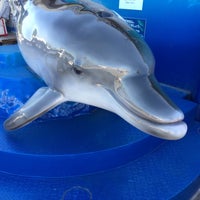 イルカマリンワールド 天草市 熊本県 イルカマリンワールド 天草市 熊本県