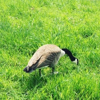 Photo taken at Café Südpark by Irina K. on 4/24/2016