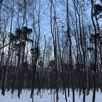 Photo taken at Большая Всехсвятская роща by Татьяна Х. on 2/3/2022