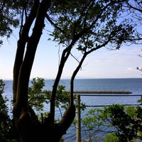 寺部の神秘的な森のベンチ 寺部の神秘的な森のベンチ