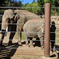 Photo taken at Elephant Trails Exhibit by D F. on 10/14/2019