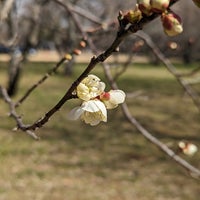 Photo taken at Sakura Castle Ruins Park by Naruhiko O. on 2/23/2023