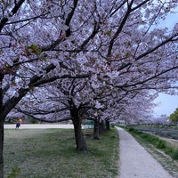 Photo taken at 石手川緑地公園 by Nao Y. on 4/11/2020