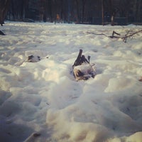 Photo taken at Прогулка с собакой by just k. on 12/20/2012