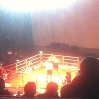 Photo taken at Крокус Сити Молл (бокс. Бой за звание чемпиона) by Анастасия Г. on 12/17/2012