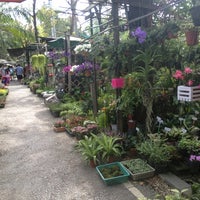 Photo taken at ร้านต้นไม้ by Thamonwan S. on 12/31/2012