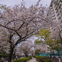 Photo taken at Oyokogawa-shinsui-koen Park by Tomoya S. on 4/13/2024