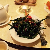 Download Konfuzius kelkheim For iPhone Free Konfuzius Kelkheim