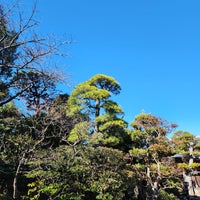 Photo taken at Yamamoto-Tei by Lorraine Y. on 1/25/2024
