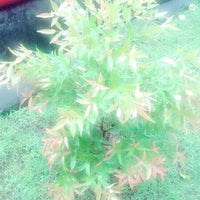 Review ASTRA INTERNATIONAL Tbk. HONDA HSO Mataram