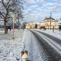 Photo taken at Netlucká stáj by Sima on 12/18/2017