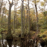 First Landing State Park First Landing State Park Virginia