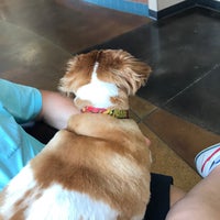 Photo taken at Circle City Veterinary Emerg &amp;amp; Specialty Hospital by Bitch N. on 8/10/2018