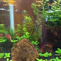 Okinawa Bianco 新都心 1 Tip