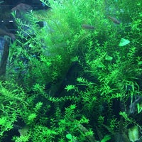 Okinawa Bianco 新都心 1 Tip